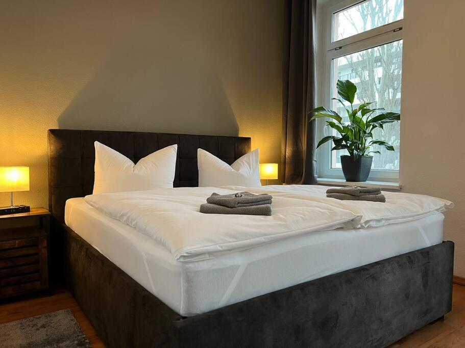 Akk6 Designpartment Naehe Hbf Uni Oper Apartment Magdeburg
